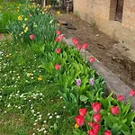 Les Colombages Zellwiller