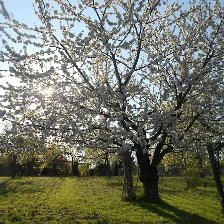 Les Colombages * Zellwiller