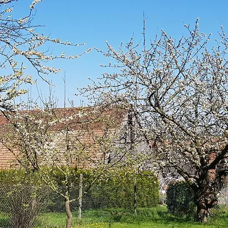 Les Colombages 3* Zellwiller