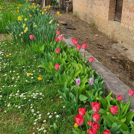 Les Colombages Zellwiller