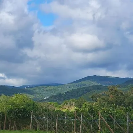 Les Colombages Bed & Breakfast 3*